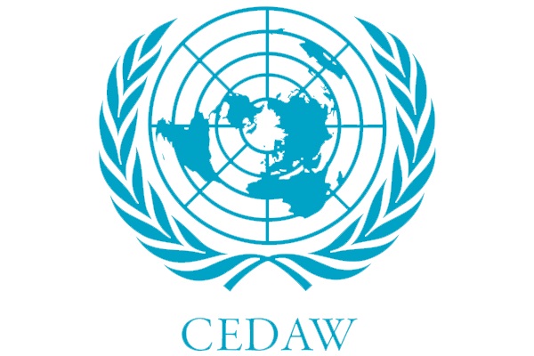 Nepali single women’s issues raised at CEDAW meeting