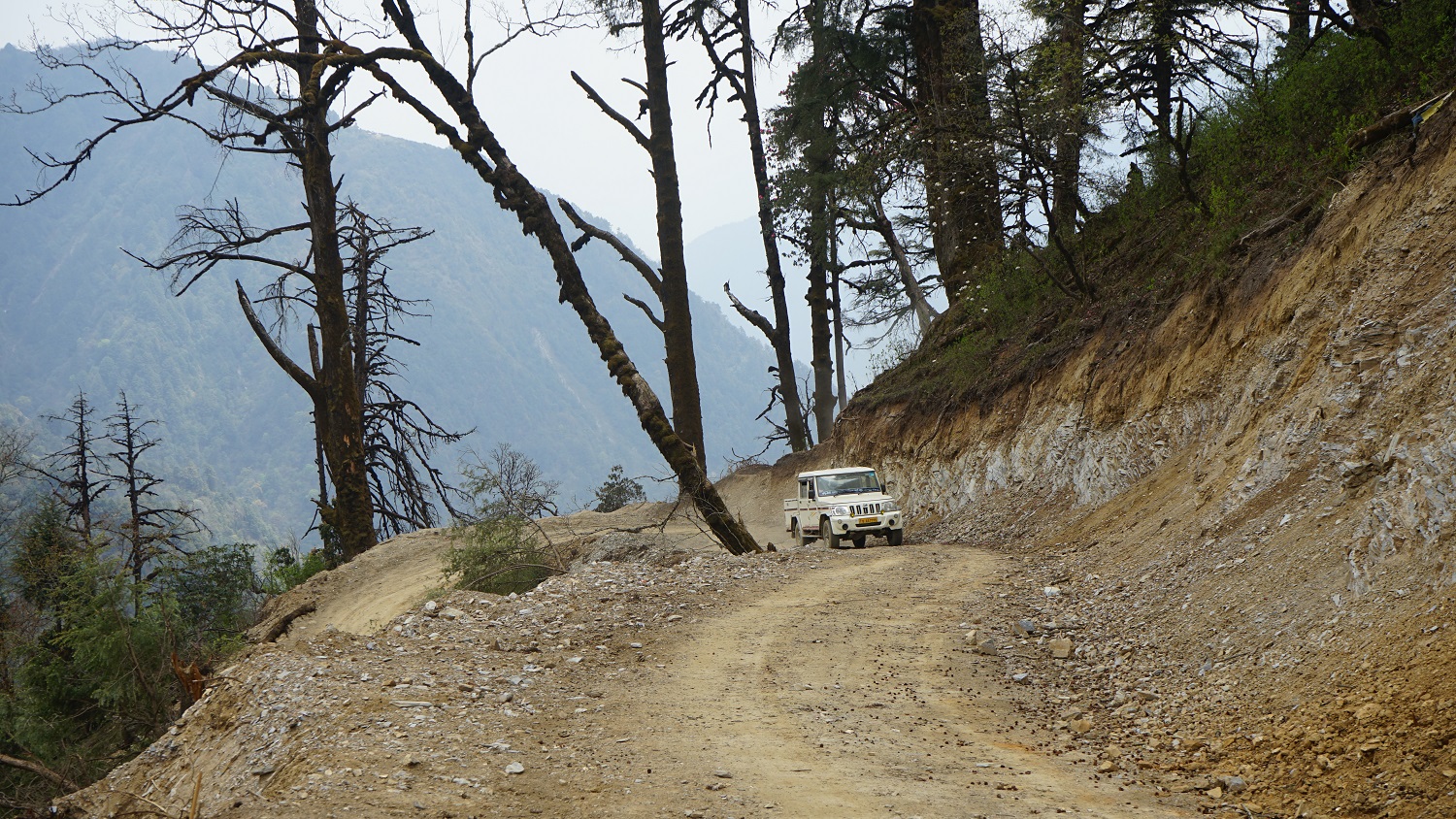 Postal Highway to be completed within two years