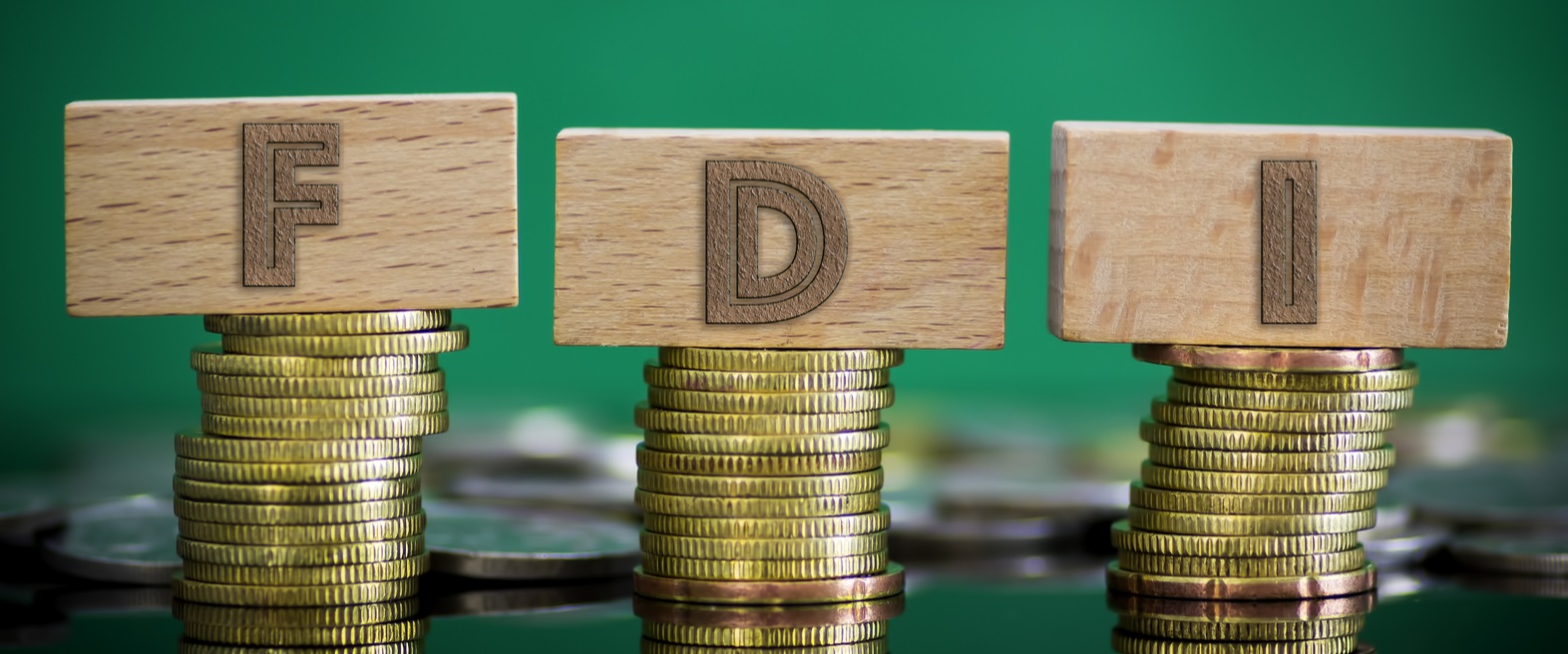 Nepal to be developed as FDI destination