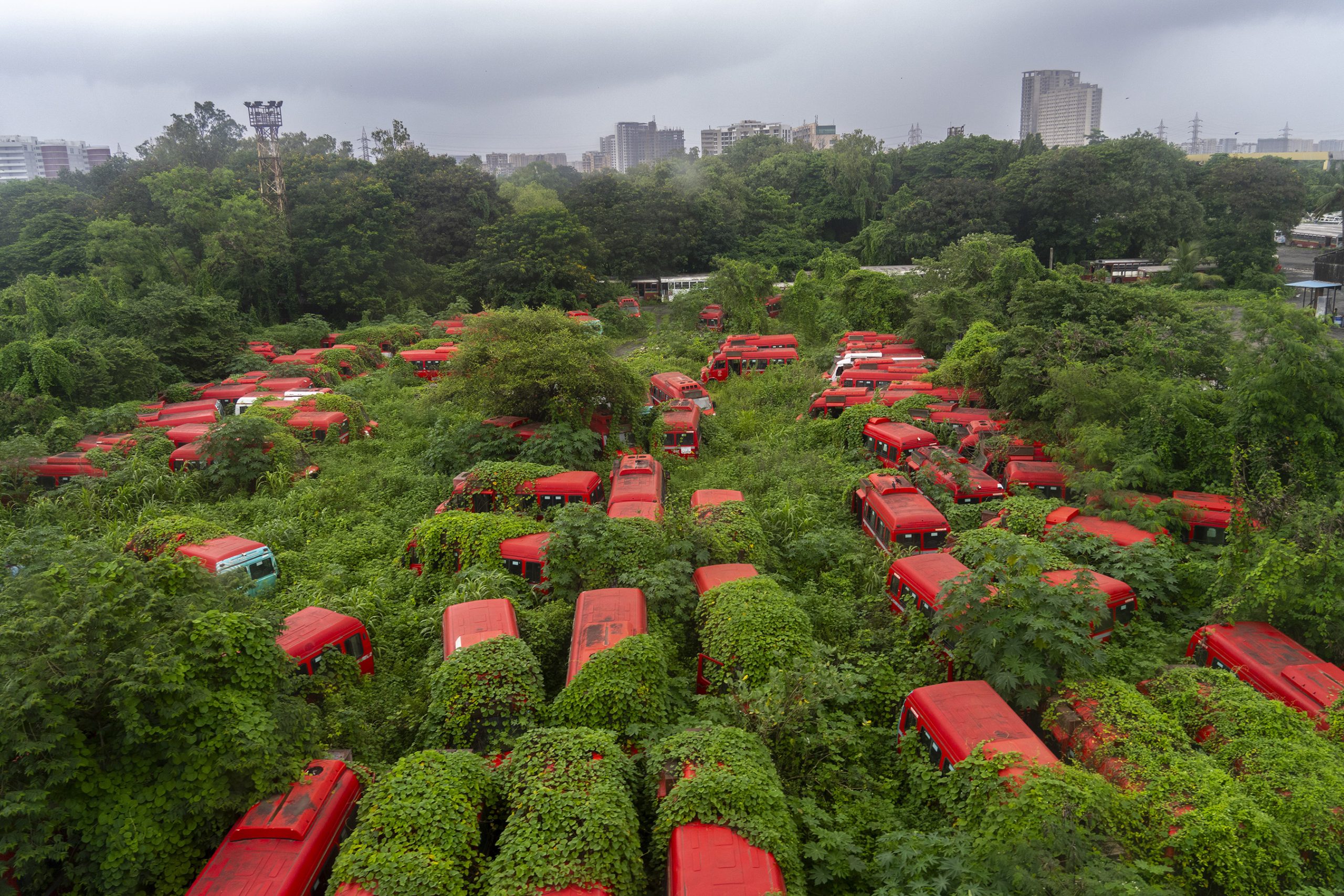 Plants are growing over the transport